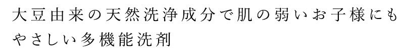多機能洗剤 洗剤 ナチュラルソイリッドEX 詰換え用 500ml 無添加 正規品 液体 天然 ナチュラル ノンケミカル 自然 大豆