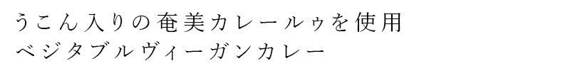 レトルトカレー 風と光 オーガニックヴィーガン レトルトカレー 豆 180g 有機JAS認証 ヴィーガン対応 正規品 国内産  動物性原料不使用 植物性カレー