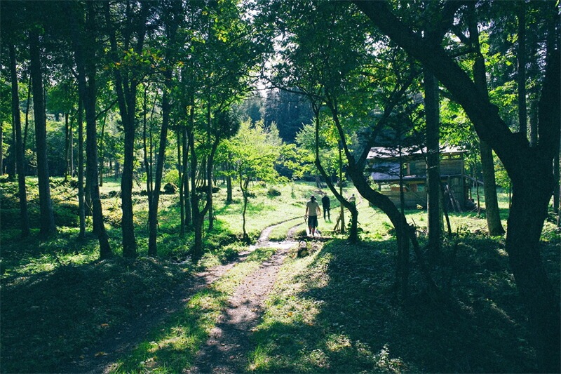フレグランススプレー フプの森 フレグランススプレー 5ml 正規品 無添加 アロマ モミの木 フレグランス