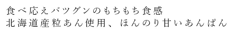 長期保存パン ノースカラーズ オーガニック小麦粉のもっちりあんぱん 1個 70g オーガニック 動物性原料不使用 正規品 国内産 保存料 無添加  NorthColors 常温保存可能 ヴィーガン
