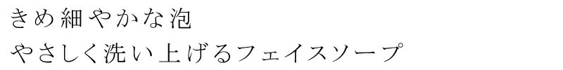 洗顔 無添加 QUON クオン ベアスキンフォーマライザーフェイスソープ 150ml オーガニック 正規品 フェイスソープ スキンケア 洗顔フォーム 天然 ナチュラル ノンケミカル 自然