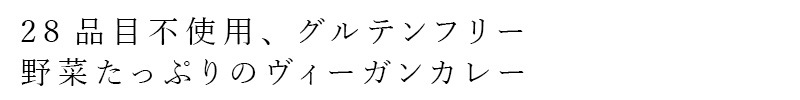 レトルトカレー 風と光 28品目不使用ヴィーガンレトルトカレー 180g ヴィーガン 正規品 国内産  動物性原料不使用 植物性カレー