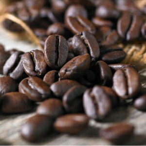 ギー＆MCTオイル入りインスタントコーヒー 食用油 オイル 保存料 無添加 粉末バターコーヒー 150g オーガニック 正規品  バターコーヒー 完全無欠コーヒー 珈琲 エブリディ バターコーヒー エブリデイ