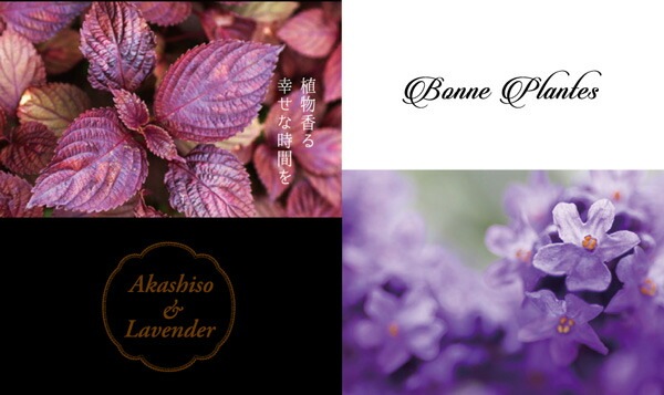 スタイリング 剤 無添加 ボンヌプランツ Bonne Plantes スウィーツソーパー ボンヌプランツシリーズ ヘアブローミスト 赤紫蘇&ラベンダー 120ml 正規品 オーガニック ヘアケア 天然 ナチュラル ノンケミカル 自然