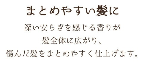 スタイリング 剤 無添加 ボンヌプランツ Bonne Plantes スウィーツソーパー ボンヌプランツシリーズ ヘアブローミスト 赤紫蘇&ラベンダー 120ml 正規品 オーガニック ヘアケア 天然 ナチュラル ノンケミカル 自然