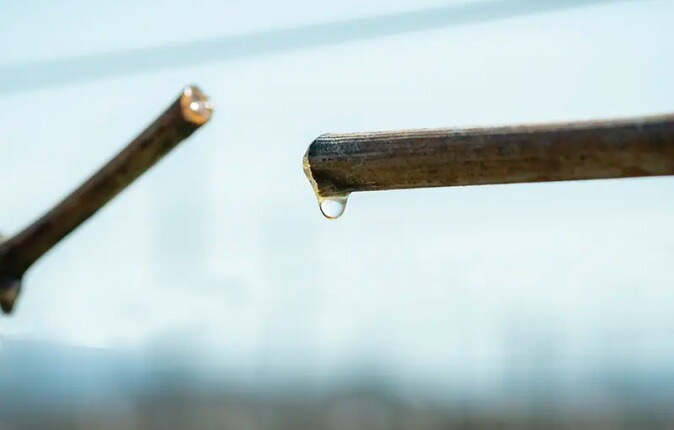 保湿クリーム 無添加 QUON deep ヴァイタライザーモイスチャークリーム 50g オーガニック 正規品 スキンケア ローション 天然 ナチュラル ノンケミカル 自然 クオン ディープ ツバキオイル エルダーフラワー 酸化セリウム  潤い ハリ 透明感 エイジング