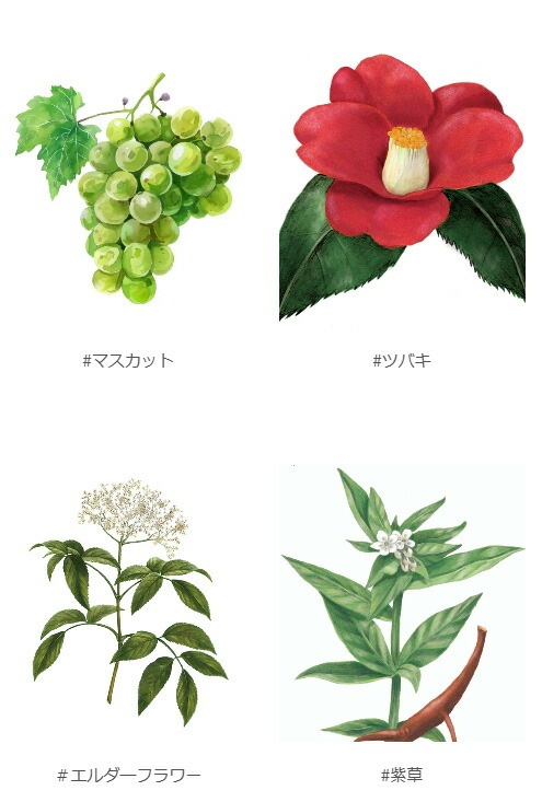 保湿クリーム 無添加 QUON deep ヴァイタライザーモイスチャークリーム 50g オーガニック 正規品 スキンケア ローション 天然 ナチュラル ノンケミカル 自然 クオン ディープ ツバキオイル エルダーフラワー 酸化セリウム  潤い ハリ 透明感 エイジング