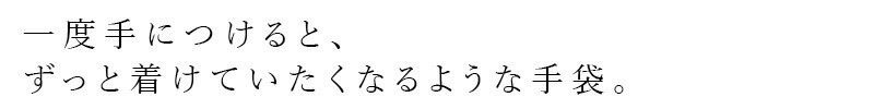 手袋 天衣無縫 ヤクとオーガニックコットン 手袋 オーガニックコットン 毛 ヤク オーガニック正規品 無農薬 ノンケミカル てんいむほう