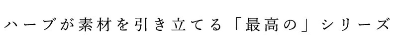 ブレンドハーブ レーベンスバウム 最高のガーリックソースのための ハーブミックス 40g 保存料 無添加 正規品 オーガニック 無農薬 有機   EUビオ 有機JAS Bio-Siegel 認証取得