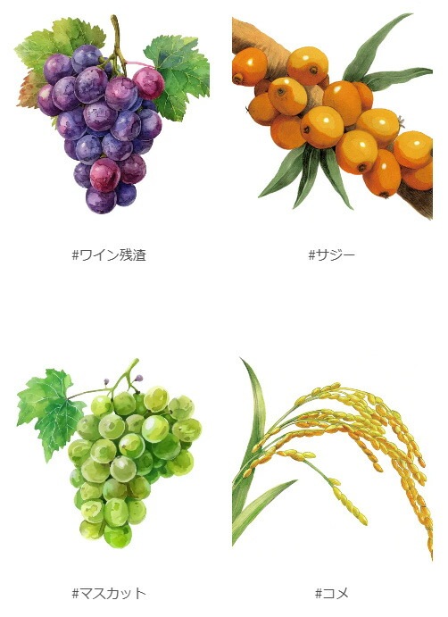 化粧水 無添加 QUON deep ヴァイタライザーモイストローション 120ml オーガニック 正規品 スキンケア ローション 天然 ナチュラル ノンケミカル 自然 クオン ディープ サジーオイル ブドウエキス  乾燥肌 混合肌  透明感 エイジング