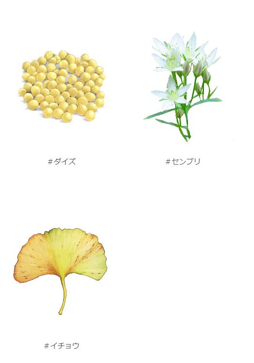 マスカラ 無添加 UlaUla ウラウラ トリートメントマスカラC 10g オーガニック 正規品 メイク 天然 ナチュラル ノンケミカル 自然 まつ毛メイク 美容成分配合 ブラックマスカラ