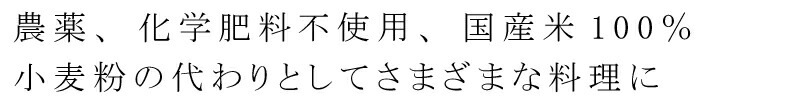 米粉 保存料 無添加 オーサワジャパン オーサワの国産米粉 500g 正規品 国内産 無農薬 化学肥料不使用