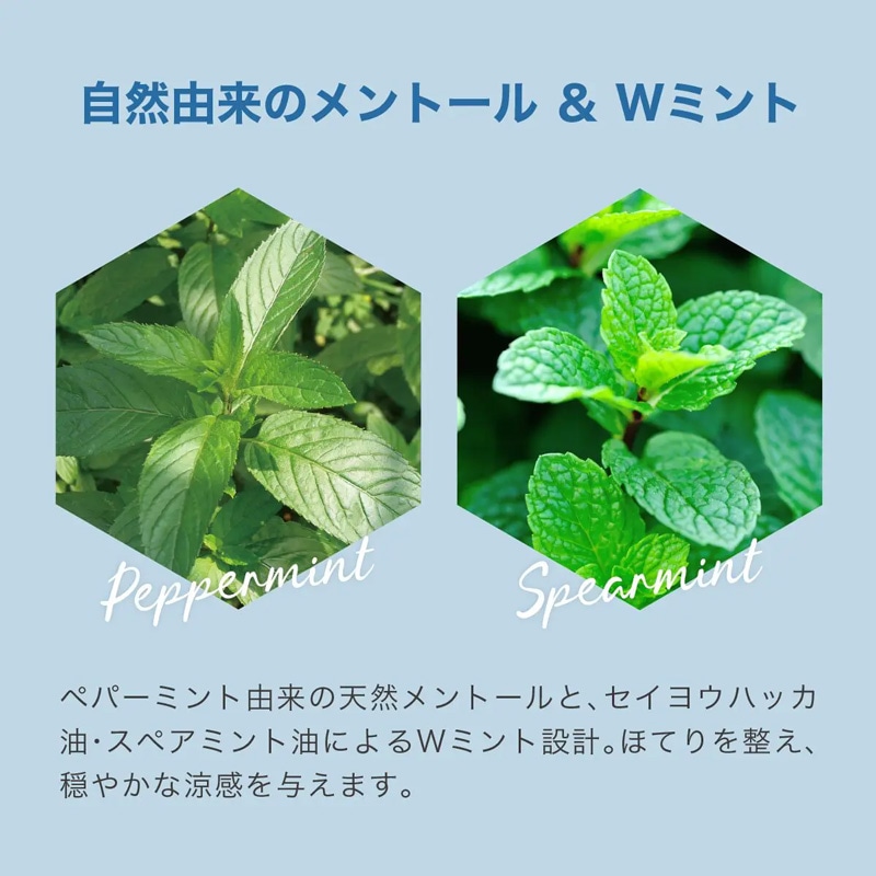 全身用シャワージェル だいじょうぶなもの クーリングシャワージェル ボディ＆ヘア レモンミント 200mL 正規品 オーストラリア製 無添加 クールタイプ 爽快感 清涼感 アルコール不使用 ボディウォッシュ シャンプー 植物由来 汗・べたつきスッキリ 夏