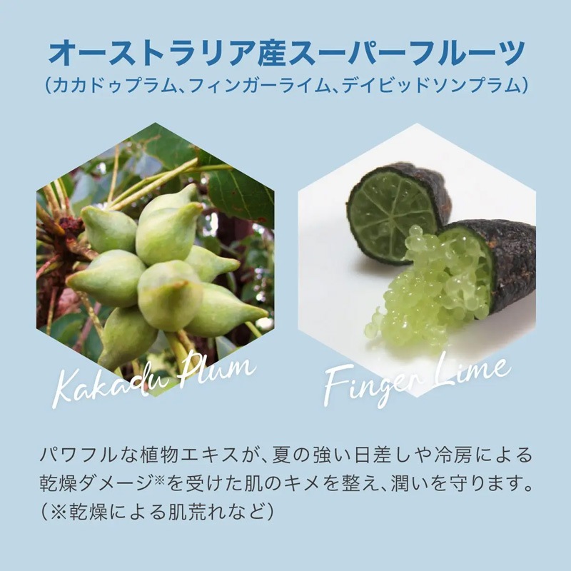 全身用シャワージェル だいじょうぶなもの クーリングシャワージェル ボディ＆ヘア レモンミント 200mL 正規品 オーストラリア製 無添加 クールタイプ 爽快感 清涼感 アルコール不使用 ボディウォッシュ シャンプー 植物由来 汗・べたつきスッキリ 夏