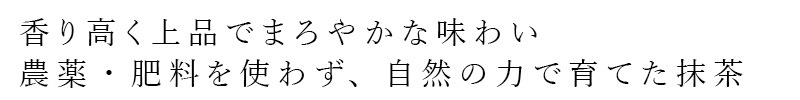 抹茶 オーサワジャパン オーサワの抹茶 30g 正規品 国産 奈良県産 茶葉100％ 農薬・肥料不使用 抹茶 粉末 お茶 日本茶 抹茶ラテ お菓子作り 製菓