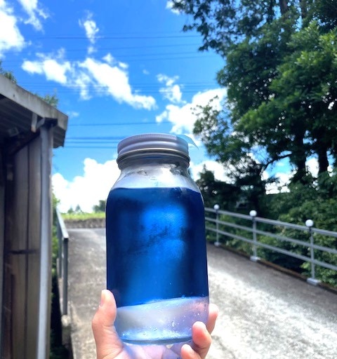 エッセンシャルオイルブレンド 夏空 - カリフォルニアの青い空 -