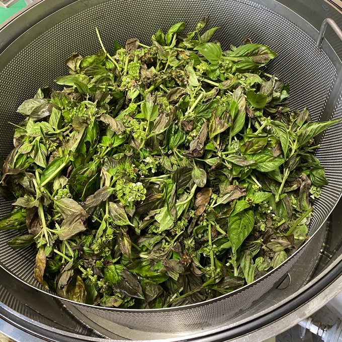 甘夏&スイートバジル ブレンドエッセンシャルオイル 精夏 -seika-