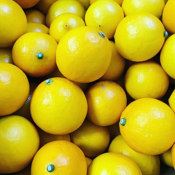 エッセンシャルオイル haro エッセンシャルオイル haro エッセンシャルオイル haro Haro Bikes