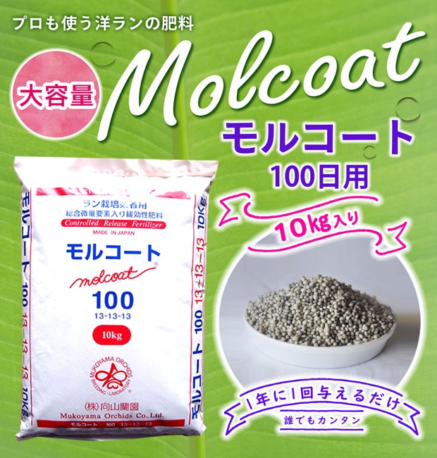 向山蘭園online Shop 洋らん 和らん 苗 資材のギフト 直売 向山蘭園online Shop 洋らん 和らん 苗 資材のギフト 直売