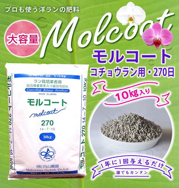 FARM BASE ONLINE SHOP｜洋らん・和らん・苗・資材のギフト・直売