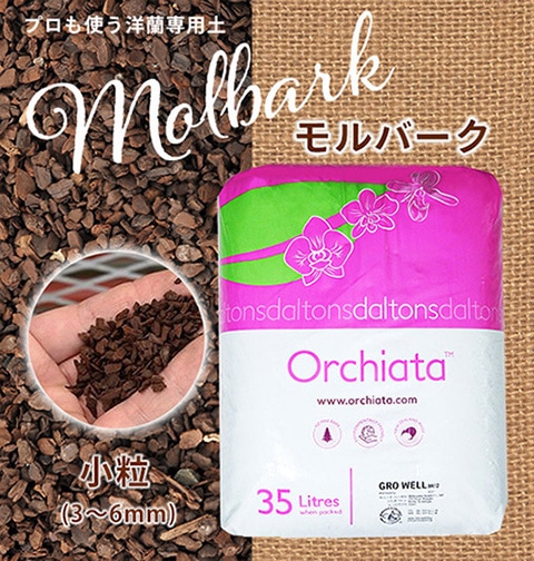 �����ѿ�����ڥ�����������С��� 35�̡þ�γ (3��6mm)�ö�̳�ѥ�������