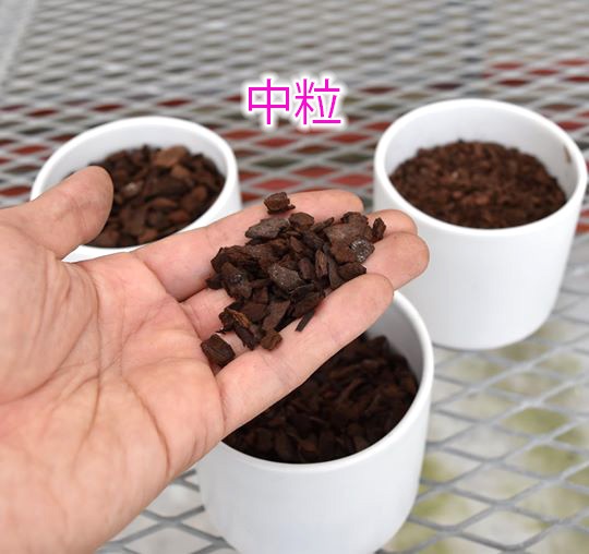 らくらくPalm生活 あなたを変えるモバイル「Palm」の