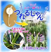 ڤĤ뤸10ĥåȡ ΥβַԤޤä˿ӡ롪