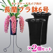 Ĺץȭ6桡2 ӥ࿢ѡ㥹ɡʲ˸