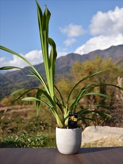 ����  ���߷��3�棱�Ʋֲ��դ�