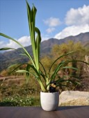 ����  ���߷��3�棱�Ʋֲ��դ�