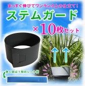 ڥƥ६10祻åȡ۲ַԤޤä˿ӤФƥࡪ