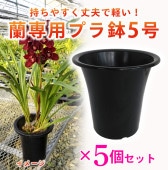   ץȭ  5  5ĥåȡۡκݤŬڤƾפȭ