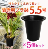   ץȭ  5.5  5ĥåȡۡκݤŬڤƾפȭ