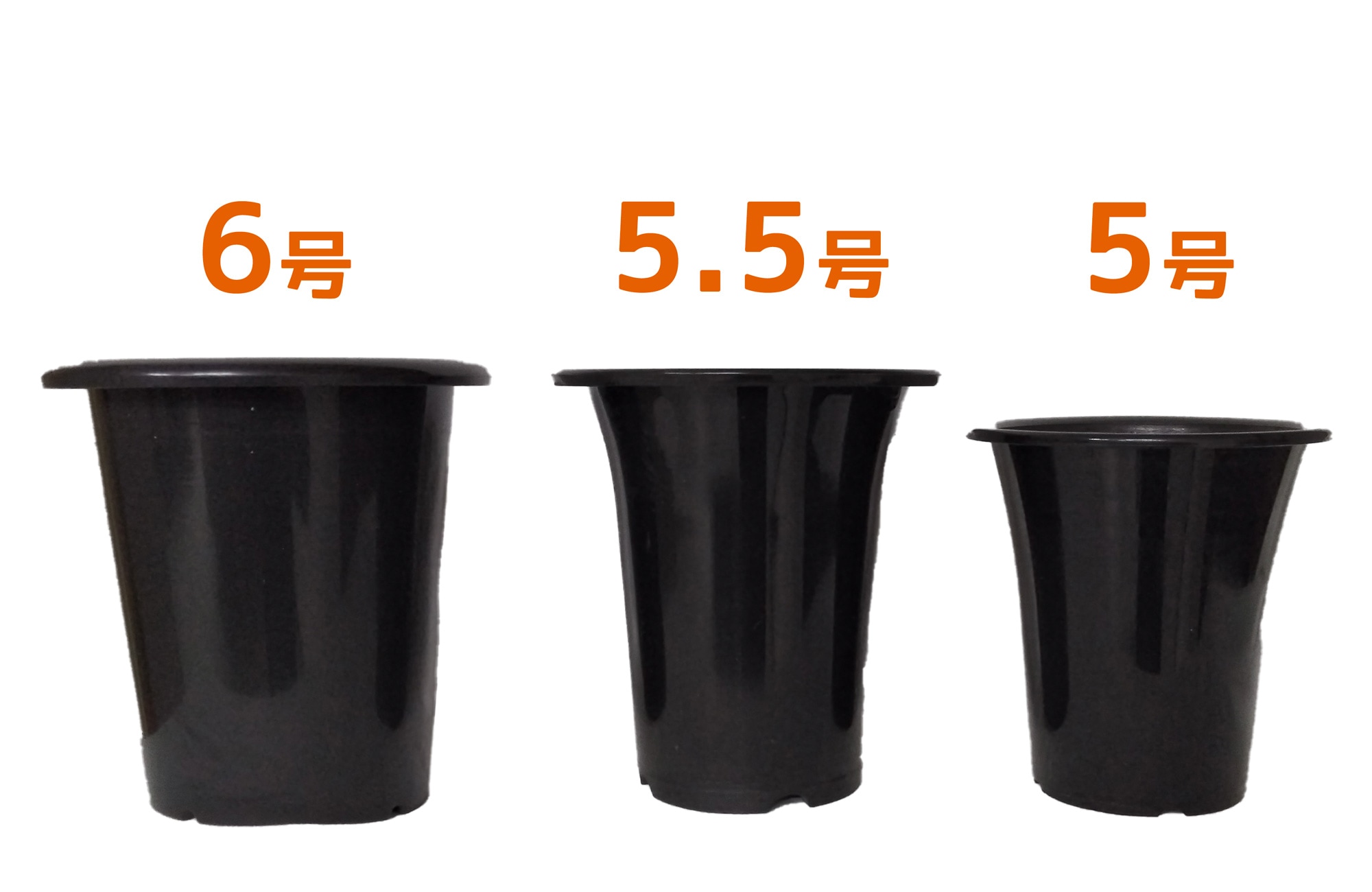 FARM BASE ONLINE SHOP｜洋らん・和らん・苗・資材のギフト・直売
