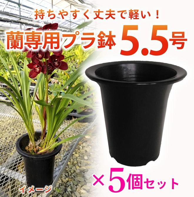 勝山 盆栽鉢 幅5.6cm 奥行き5.0cm 高さ3.5cm 盆栽鉢 山