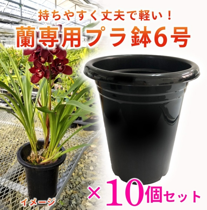 ������  �ץ�ȭ  6��  ������10�ĥ��åȡۡ����κ��ݤ�Ŭ�����ڤ��ƾ��פ�����ȭ��