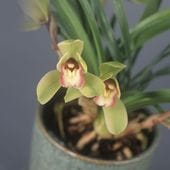 ����2.8��3��ݥå��ġ� ����ä����ʤ����ɤ����