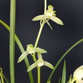 �ڸ����ʼ��������ø��ʤ���椭�ˡף�������ȭ