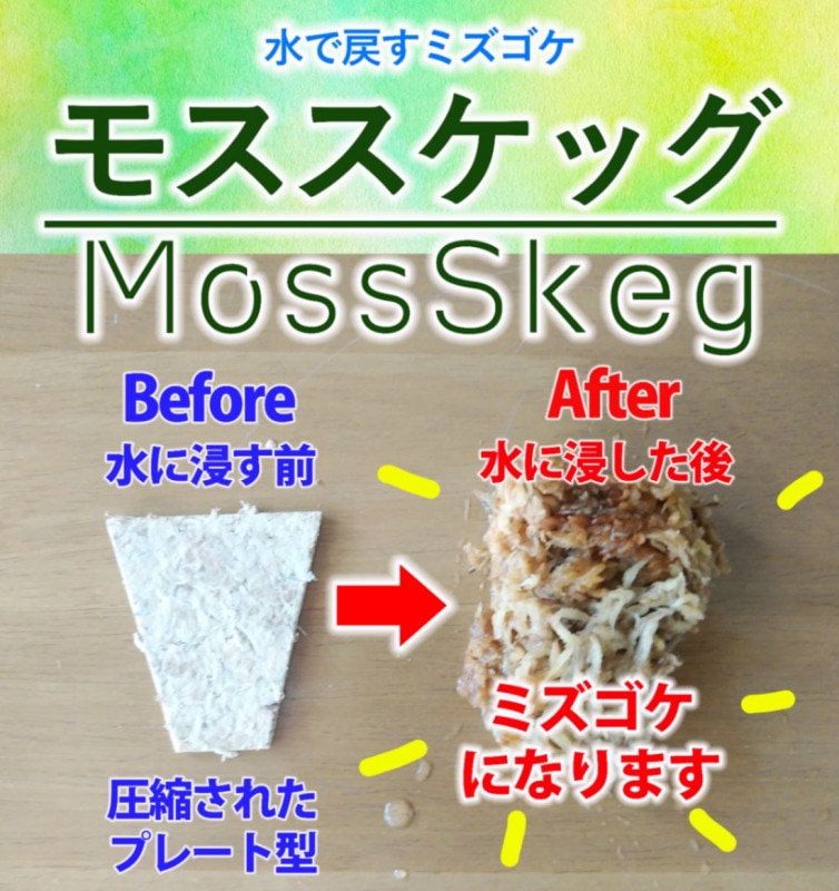 �⥹�����å���100�����ۿ���ᤷ�ƻȤ������̥����פΥߥ��������鿴�Ԥˤ�������