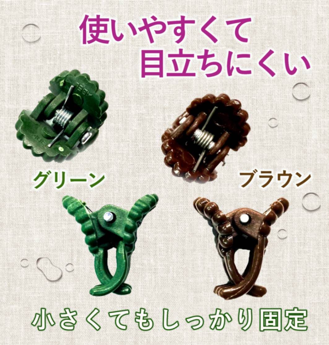 FARM BASE ONLINE SHOP｜洋らん・和らん・苗・資材のギフト・直売