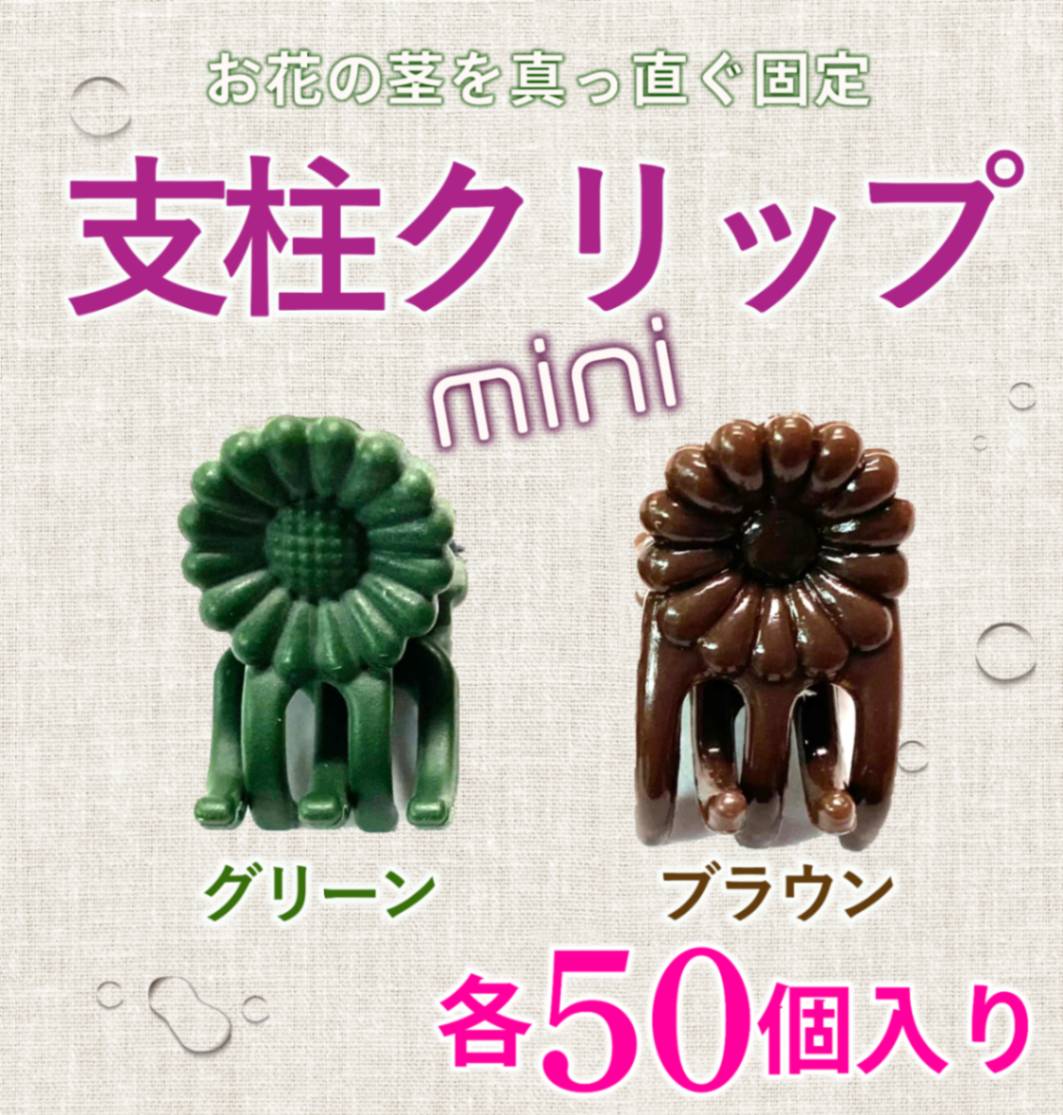 FARM BASE ONLINE SHOP｜洋らん・和らん・苗・資材のギフト・直売