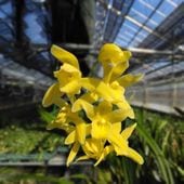 �������������ƽ��餭�ʼ�ֿ�ζ�ޡʤ����夦�����ˡס������ġ��֤���