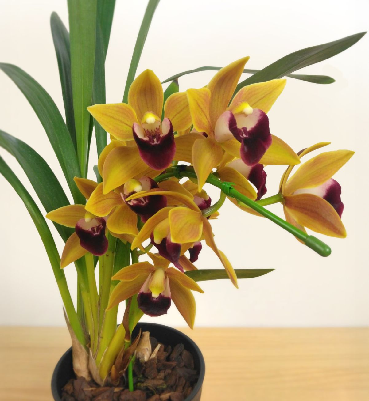 000000000321_wyC5Xa2.jpg