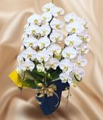 �����򿧥����祦���3�ַԡ����ַԡ���ڤǲڤ䤫����ǰ�����ˡ�Ĥ�֤ˡԥ���������ɥ�������