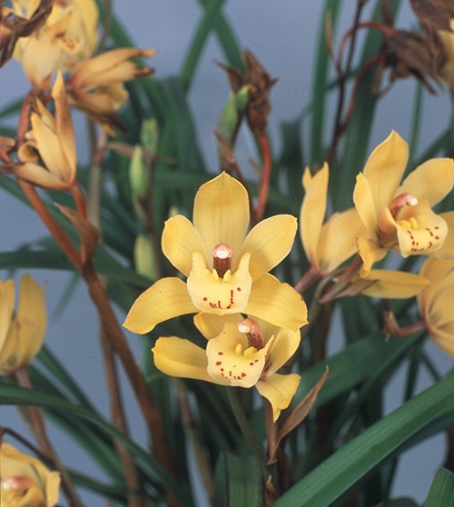 ����3��ݥå��ġڷ�θ��äĤ��ΤҤ����  �Ť����