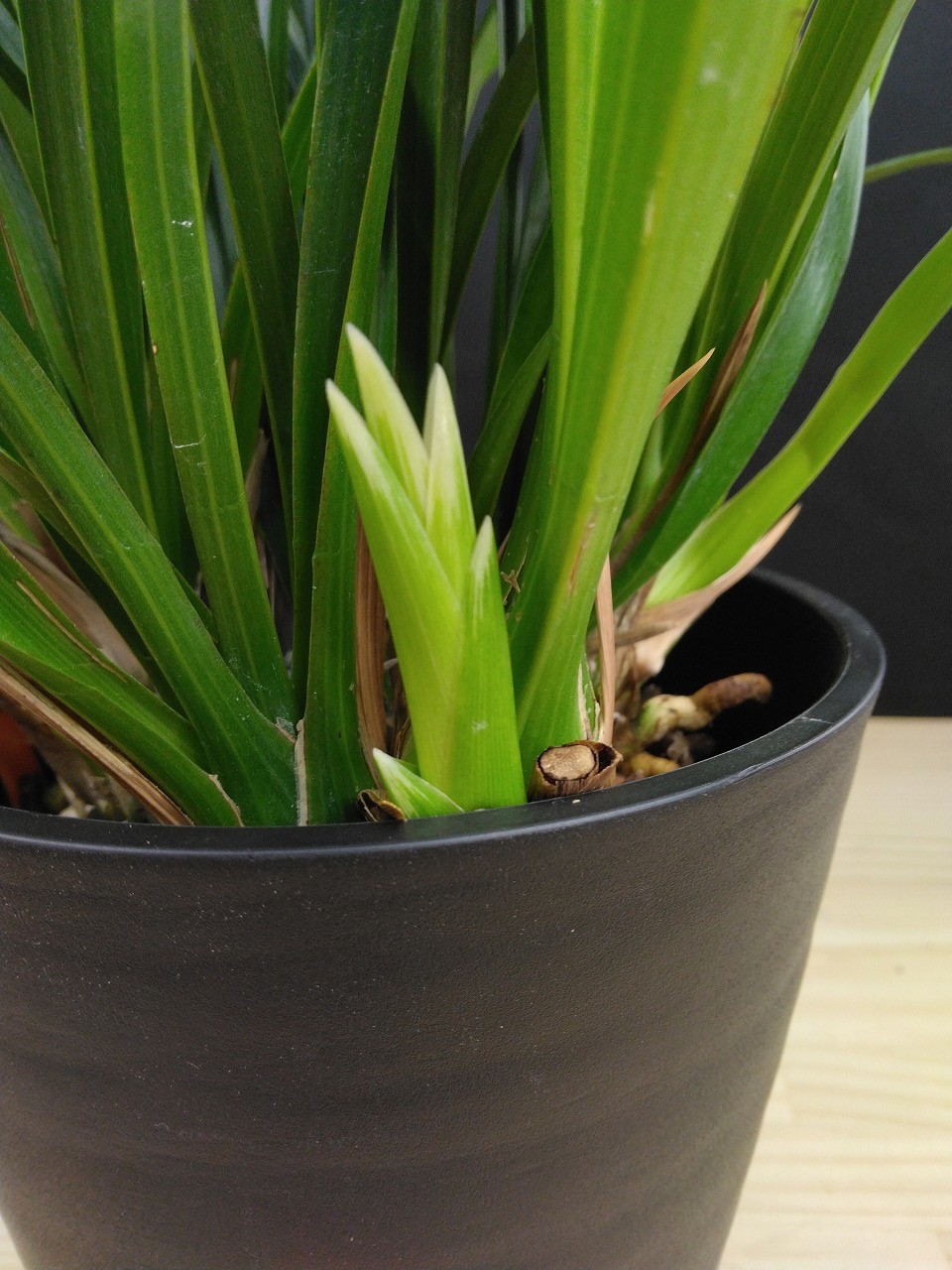 �������������ƽ��餭�ʼ�ֿ�ζ�ޡʤ����夦�����ˡס������ġ��֤���