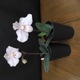 ѥեڥǥࡡˡPaph.Monique Τߡֲդֳ