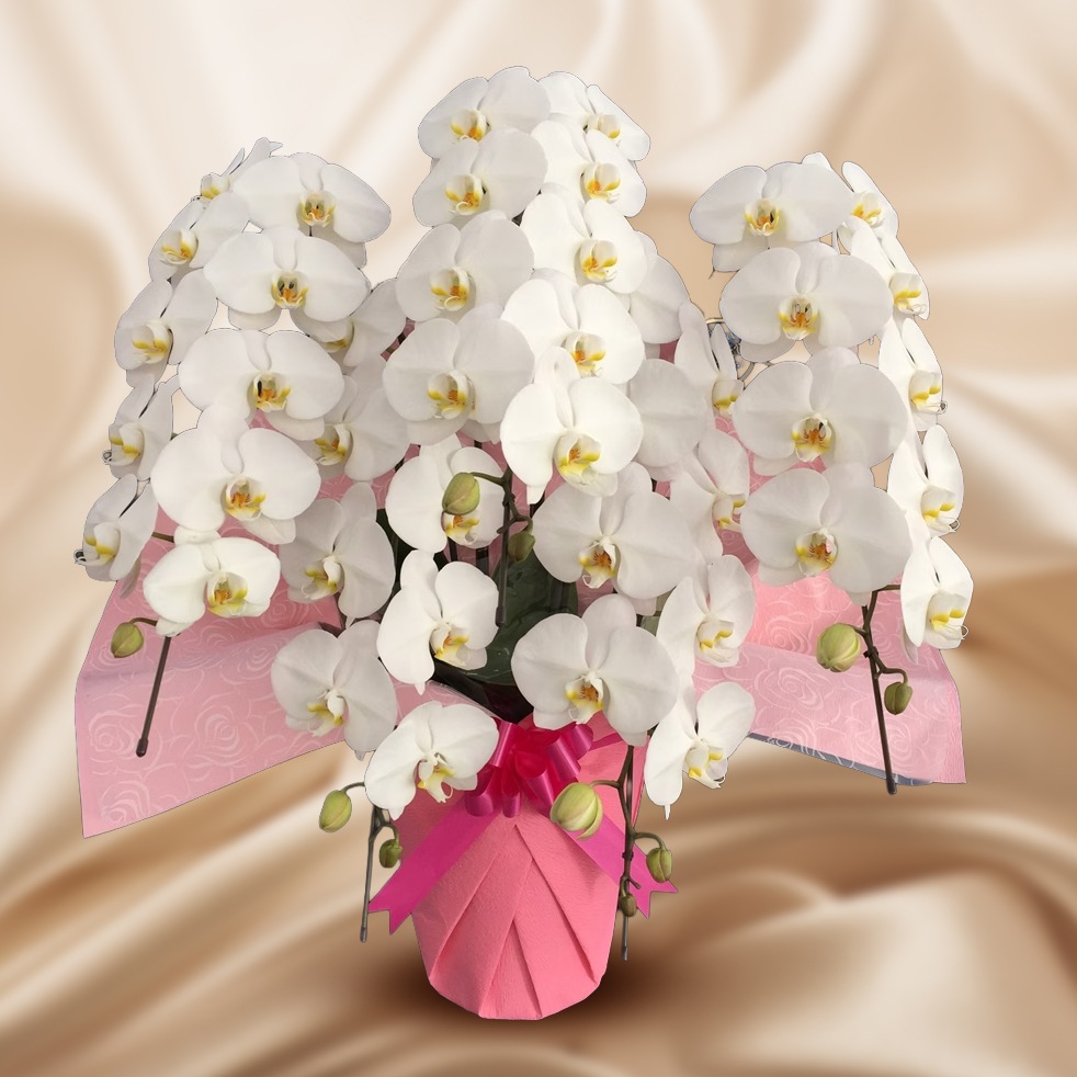 �����򿧥����祦���3�ַԡ����ַԡ���ڤǲڤ䤫����ǰ�����ˡ�Ĥ�֤ˡԥ���������ɥ�������