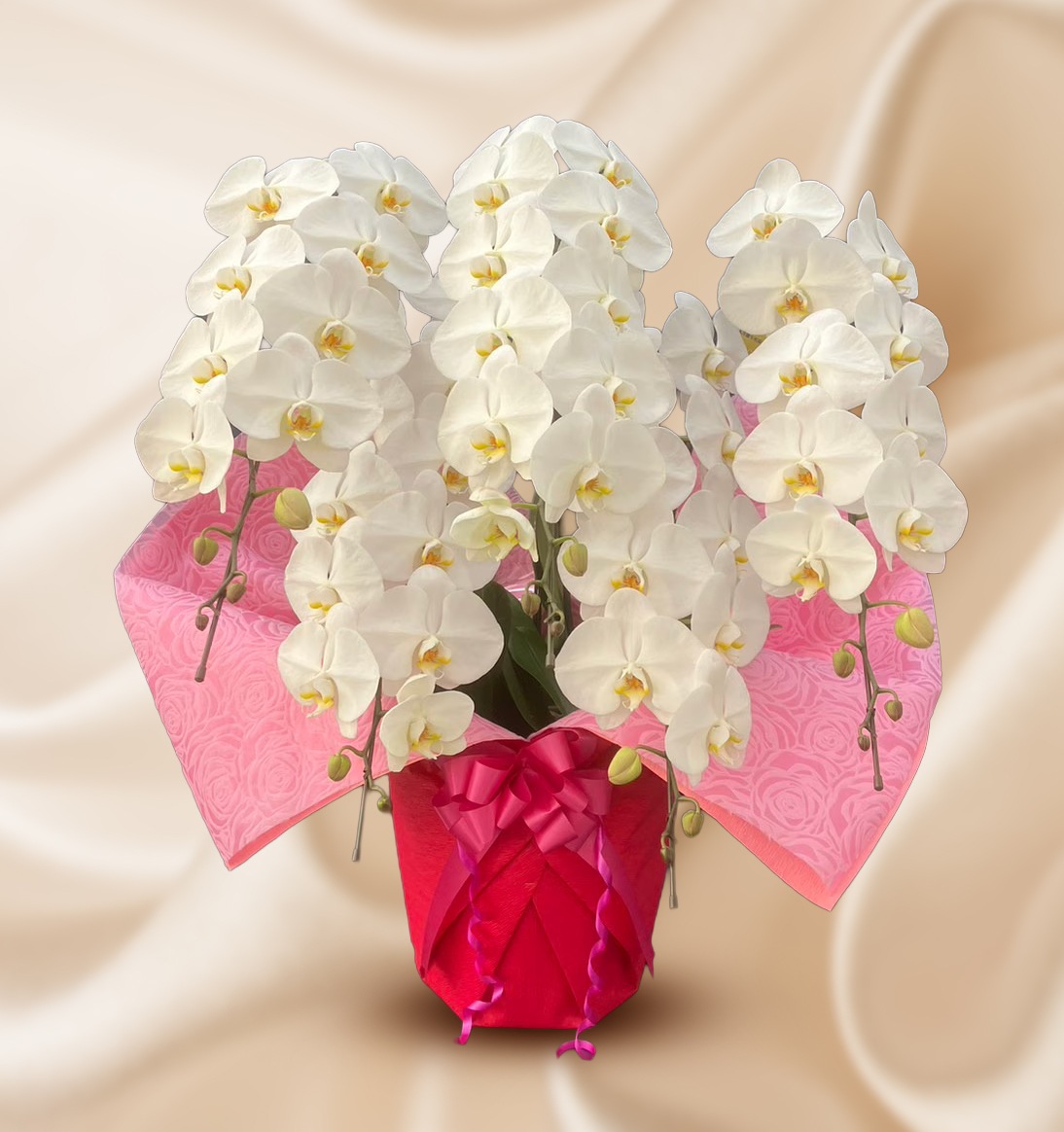 �����򿧥����祦���3�ַԡ����ַԡ���ڤǲڤ䤫����ǰ�����ˡ�Ĥ�֤ˡԥ���������ɥ�������