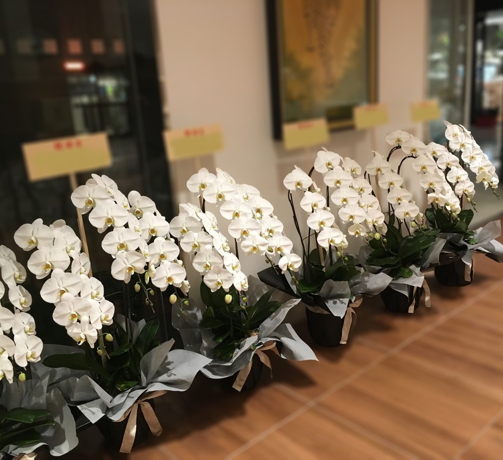 �����򿧥����祦���3�ַԡ����ַԡ���ڤǲڤ䤫����ǰ�����ˡ�Ĥ�֤ˡԥ���������ɥ�������